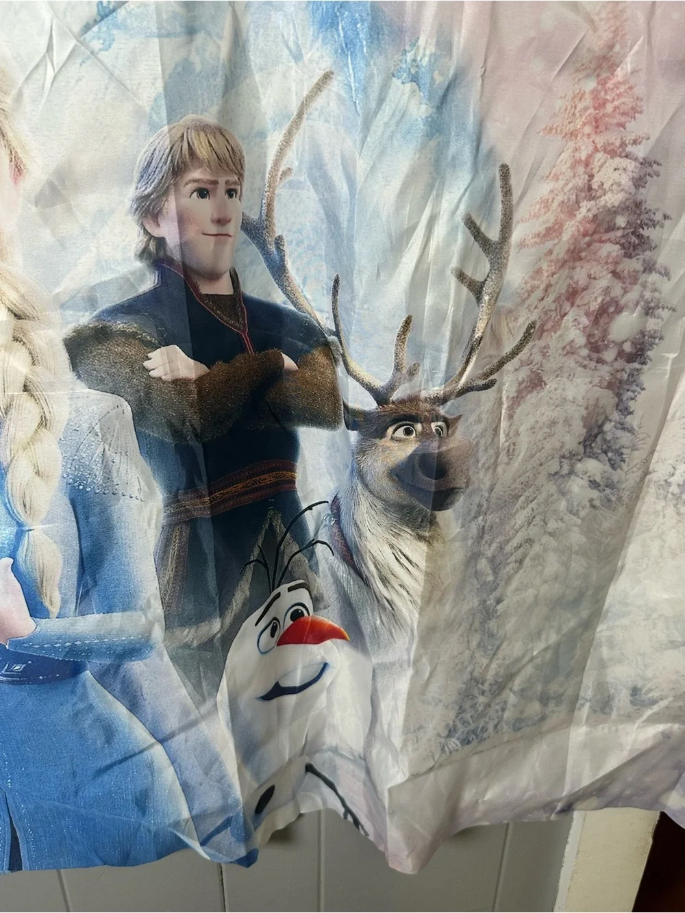 Disney Frozen Party happy birthday Backdrop - Blue, Purple, White 60x40